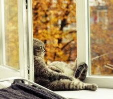 - вы хотите осеней?
- нет, нехочю!
- тоскливое...