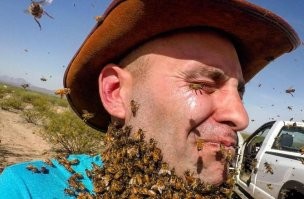 Неприятное знакомство:  владелец участка против улья