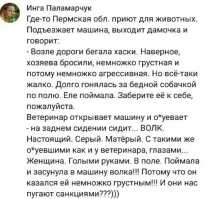Мдя. Женщины. Коня на скаку, в горящую избу.