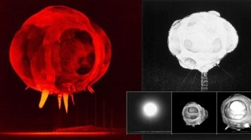 Угу, на фотографии первая миллисекунда ядерного взрыва. Она была сделана в 1952 году в ходе операции «Тамблер-Снаппер»,  штат Невада. Примерный размер огненного шара, на момент запечатления, порядка 17-20 метров, а сделана фотография с использованием затвора основанном на эффекте Керра и с помощью ячеек Керра (прибор позволяет "выставлять" выдержки порядка 10-9 - 10-12 секунды)
Плазменные "пальцы" снизу - испаряющиеся тросы и сигнальные кабеля, которые за счёт невидимого рентгеновского излучения начали разрушаться ещё до прихода плазменной сферы.