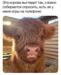 Странно и смешно. И поэтому прекрасно