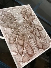 Так выглядит ангел, согласно больному воображению "художника".  А согласно Библии, серафимы - 6 крыльев (не 6 пар, а именно крыльев), херувимы - 4, остальные - по 2. Это только если все три вида объединить в один.