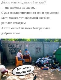 Навеяло...