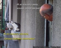 Зачем нужен телевизор, если есть окно? Пост о необычных окнах