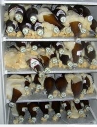 Йожика картинки. Выпуск 196