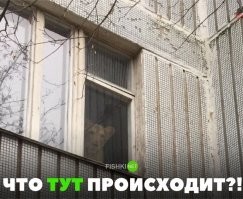 Зачем нужен телевизор, если есть окно? Пост о необычных окнах