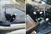 Такого красавца? Однозначно!