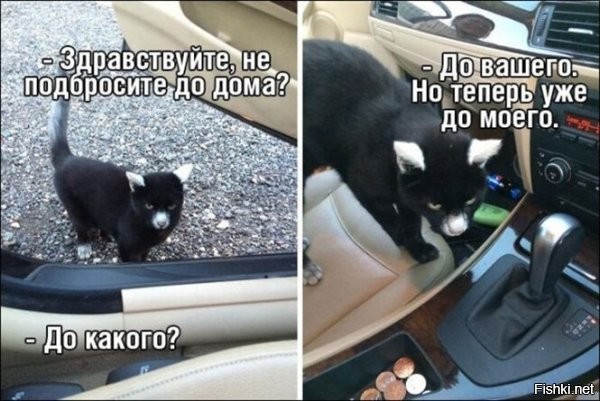 Такого красавца? Однозначно!