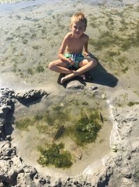 Фоткал на прошлой неделе , до этого в войну здесь был пирс . Иногда рыбачу между этих свай .  С годами сваи уменьшаются . Второе фото это когда дети были еще маленькие . Фото 3 типа аквариум сделали :) камбалу сын достал