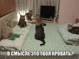 С добрым утром!