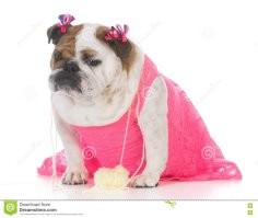 Принцесса с улицы Анфу - достопримечательность Шанхая