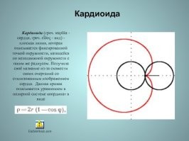 Всё не так. Физмат, первый курс.