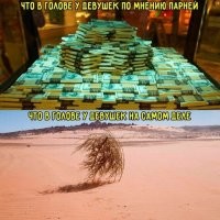 А деньги они куда прое.али?