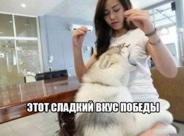 Я тоже так могу