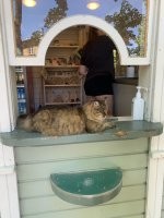 Это его старший брат , неделю меня преследовал , куда ни пойду кругом он . Сели покушать в рыбном ресторане и опять он :)