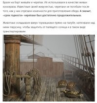 Почему моряки в старину предпочитали голодать, но не есть рыбу из океана