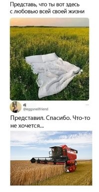 Двое влюбленных лежали во ржи, 
Тихо комбайн стоял у межи, 
Тихо завелся, тихо пошел, 
...Кто-то в батоне зал%пу нашел.