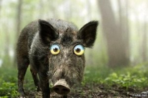 Почему Ульянка «хуже керосину»?