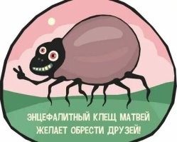 Смешные и познавательные картинки