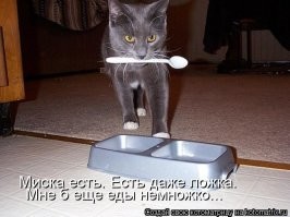 Йожика картинки. Выпуск 198
