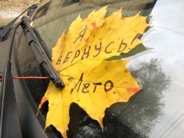 Йожика картинки. Выпуск 198