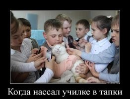 Йожика картинки. Выпуск 198