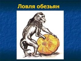 точно