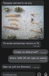 Дёшево и сердито:  пчеловод защищает своих пчёл от шершней