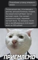Неудачный опыт знакомства с устрицами