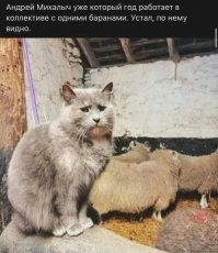 Против Водочки печень голосует. А что до того, кто подкинул, то: