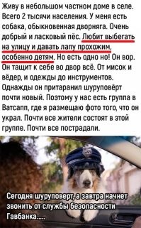 Пёсель по запаху ищет, гдечё списдить.