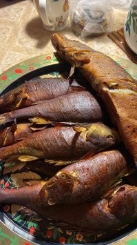 Мы самы с усамы