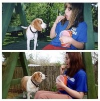 За 10 лет, из эстонской гончий свинью сделали!