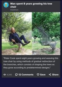 Сейчас он выглядит так.
На каждый стул у него уходит 8-лет жизни.