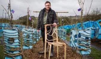 Это же не значит что он выращивает один стул раз 8-лет 

У него целый сад стульев.