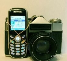 30 кадров с животными для поднятия настроения