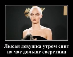 Волосатый не поймёт, а лысый не расскажет