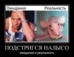 Волосатый не поймёт, а лысый не расскажет