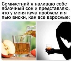 Семилетний яблочный сок называется либо "сидр", либо "кальвадос"