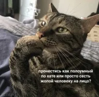 Смешные и познавательные картинки