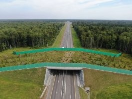 В России тоже есть