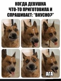 Неудачный опыт знакомства с устрицами