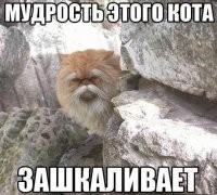 Смешные и познавательные картинки