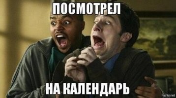 Календарь 1986 года с самым привередливым котом в мире