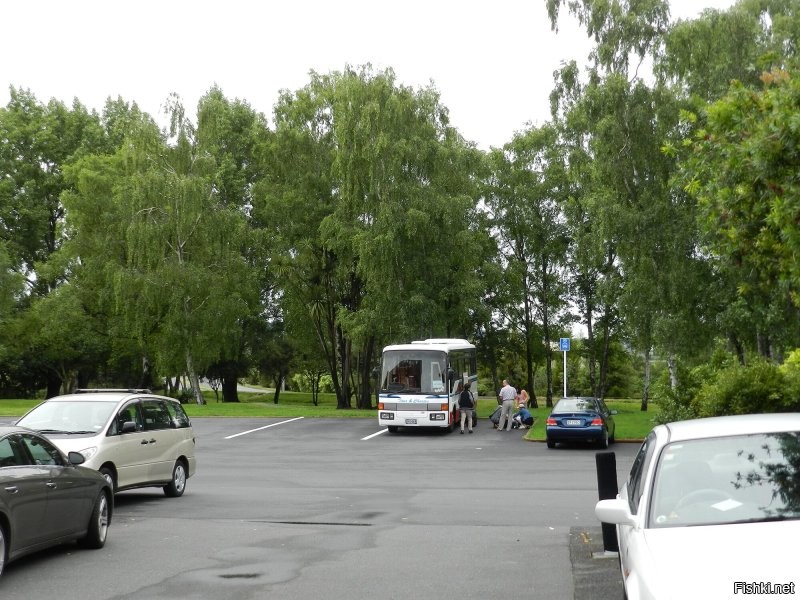 Про духи на Мадагаскаре - полная чушь! Там нельзя туристам носить камуфлированную одежду, так как могут возникнуть проблемы на пограничных постах между провинциями.  Пы.Сы. Неделю отдыхали в самом шикарном отеле Мадагаскара - Принцесса Бора, потом неделю проехали весь остров, посмотрели и джунгли, и бедные районы и гетто. Проезжали фабрику по производству ванили, так там за 2 км и после дышать нечем от этой ванили - какие там духи?. Про Новую Зеландию и Австралию - вообще бред, особенно про кроссовки и какие нафиг велосипеды? При въезде в Новую Зеландию  в аэропорте перед таможней стоят хренова туча билбордов о запрете ввоза фруктов и овощей с семенами, и что странно, даже бананов (в них семян нет), за это штраф в 500 местных долларов. Так они защищают свои эндемики.   Летал в Новую Зеландию на новый год, проехали весь северный и южный остров. В Австралии проехали все восточное побережье за 3,5 недели. Знаю, о чем говорю. В моём портфеле 34,5 стран. Все фото мои.