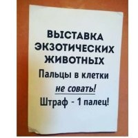 16 забавных объявлений, которые вызовут улыбку