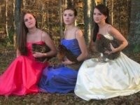 Все зависит от места проживания. Такие и голову курице отрубят не моргнув.