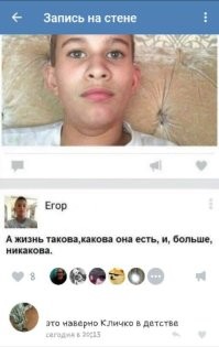 Смешные и познавательные картинки