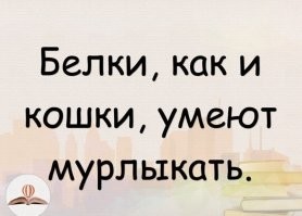 Самые смешные мемы. Выпуск № 39