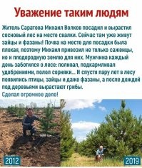 Супруги 20 лет сажали деревья и смогли восстановить целую экосистему